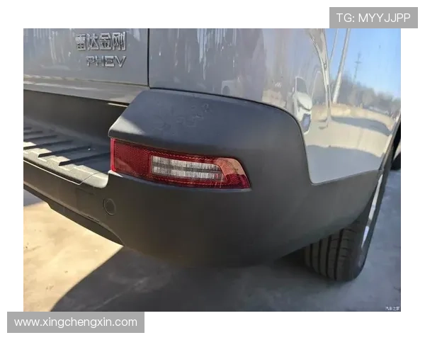 星空网官网登录入口对用户的重要性与实用性分析