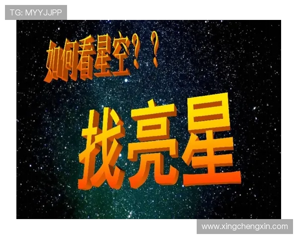 星空集团官网用户反馈及改进方向的深度分析