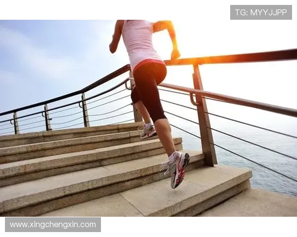 b体育app用户评价与使用技巧，帮助新手快速上手享受精彩体育内容