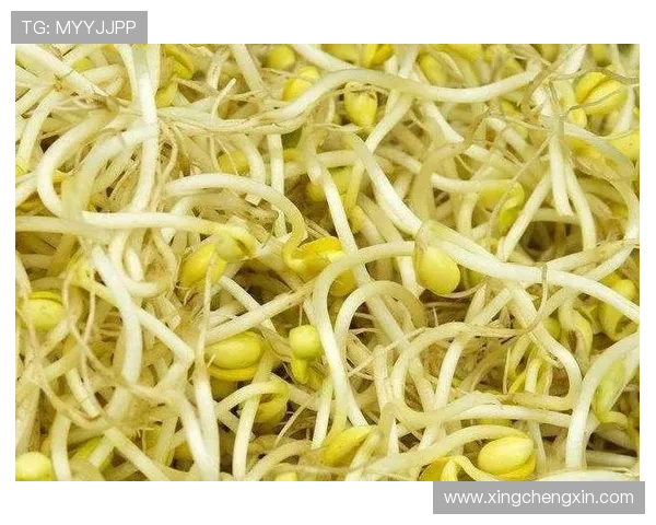 乐动体育app入口官方版下载安装指南和最新登录入口详解