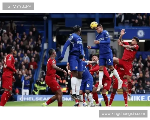 伟德体育首页提供的多样体育赛事直播与实时比分精彩报道