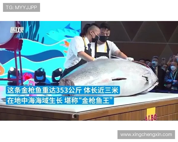 博鱼中国官网常见问题解析,为用户提供全面的使用指南与疑难解答路径 博鱼中国官网常见问题解析,为用户提供全面的使用指南与疑难解答路径