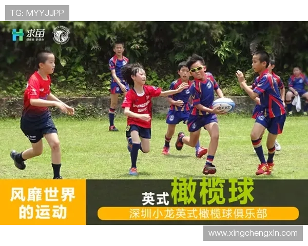 星空体育国际官网入口：支持多设备无障碍访问的操作方法解析