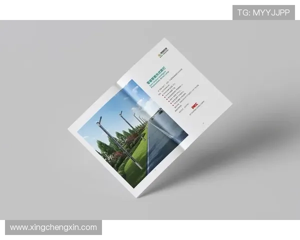 星空体育集团官方网址正式发布及服务项目介绍帮助用户全面了解平台功能