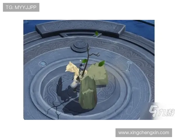 星空娱乐官网下载安装方法详解，确保每一步都区分清楚不要遗漏