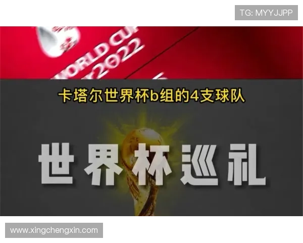 世界杯伊朗vs埃及比赛票务购买指南及现场观赛注意事项 世界杯伊朗vs埃及比赛票务购买指南及现场观赛注意事项